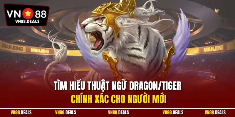 Tìm hiểu thuật ngữ Dragon/Tiger chính xác cho người mới