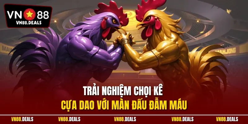 Trải nghiệm chọi kê cựa dao với màn đấu đẫm máu